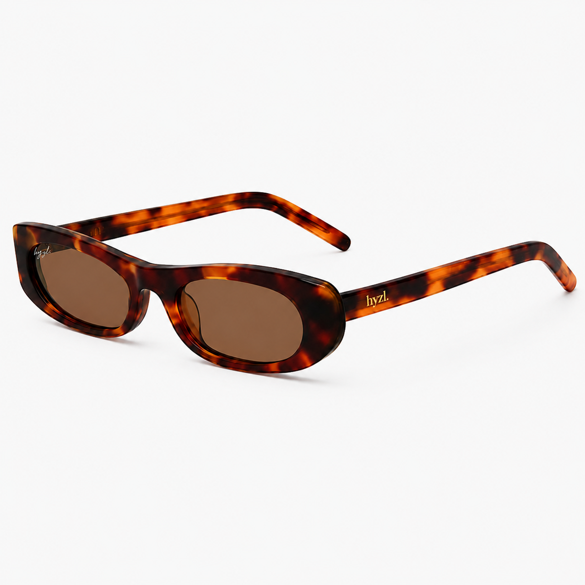 Oval sunglasses with a brown and black tortoiseshell acetate frame and brown tinted lenses, shown on a clean white background. The brand name 'byzl' is printed on the temple arm.